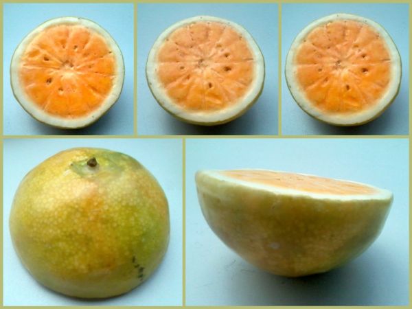 FRUTA: LARANJA ABERTA IPF14/0 7cm/diam - ULTIMAS UNIDADES!